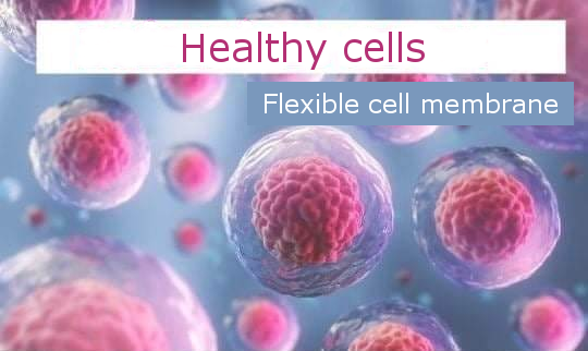 healthy-cells